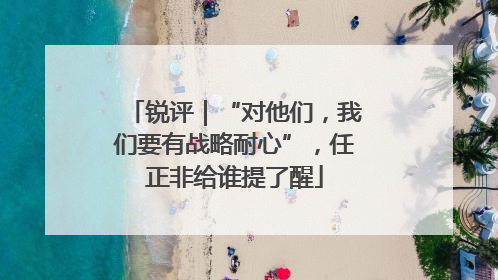 锐评｜“对他们，我们要有战略耐心”，任正非给谁提了醒