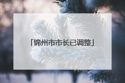 锦州市市长已调整