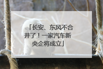 长安、东风不合并了！一家汽车新央企将成立