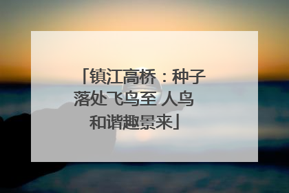 镇江高桥：种子落处飞鸟至 人鸟和谐趣景来