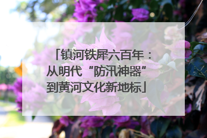 镇河铁犀六百年：从明代“防汛神器”到黄河文化新地标