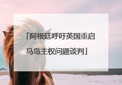 阿根廷呼吁英国重启马岛主权问题谈判