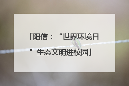 阳信：“世界环境日”生态文明进校园