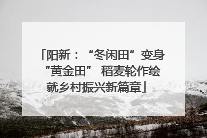 阳新：“冬闲田”变身“黄金田” 稻麦轮作绘就乡村振兴新篇章