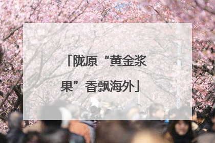 陇原“黄金浆果”香飘海外