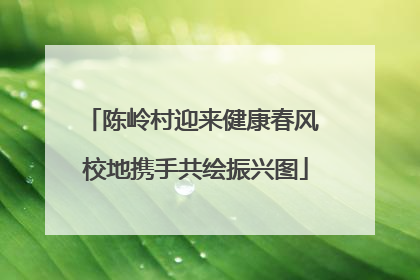陈岭村迎来健康春风 校地携手共绘振兴图