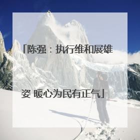 陈强：执行维和展雄姿 暖心为民有正气
