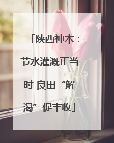 陕西神木：节水灌溉正当时 良田“解渴”促丰收
