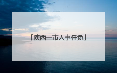 陕西一市人事任免