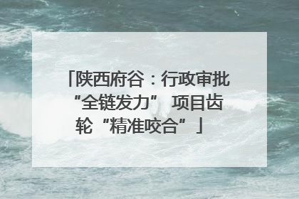 陕西府谷：行政审批“全链发力” 项目齿轮“精准咬合”