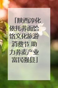 陕西淳化依托荞面饸饹文化旅游消费节 助力荞麦产业富民强县