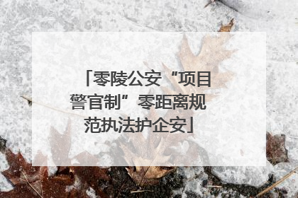 零陵公安“项目警官制”零距离规范执法护企安