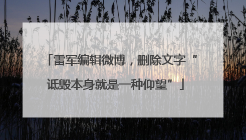 雷军编辑微博，删除文字“诋毁本身就是一种仰望”