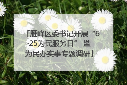 雁峰区委书记开展“6·25为民服务日” 暨为民办实事专题调研