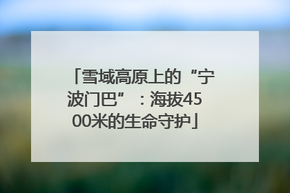 雪域高原上的“宁波门巴”：海拔4500米的生命守护