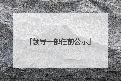领导干部任前公示
