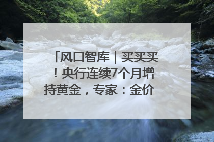 风口智库｜买买买！央行连续7个月增持黄金，专家：金价或仍易涨难跌