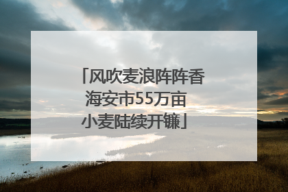 风吹麦浪阵阵香 海安市55万亩小麦陆续开镰