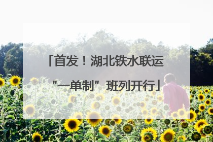 首发！湖北铁水联运“一单制”班列开行