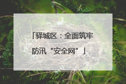 驿城区：全面筑牢防汛“安全网”