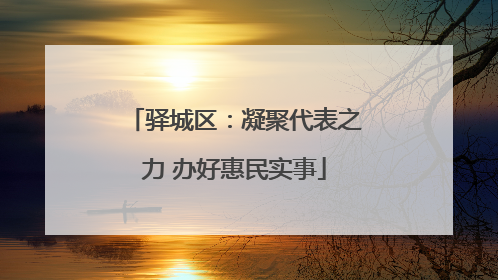 驿城区：凝聚代表之力 办好惠民实事