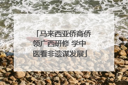 马来西亚侨商侨领广西研修 学中医看非遗谋发展