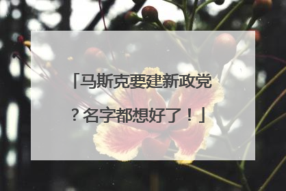 马斯克要建新政党？名字都想好了！