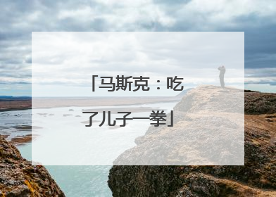 马斯克：吃了儿子一拳