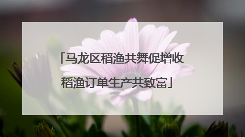 马龙区稻渔共舞促增收 稻渔订单生产共致富