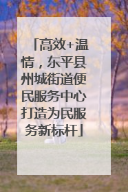 高效+温情，东平县州城街道便民服务中心打造为民服务新标杆