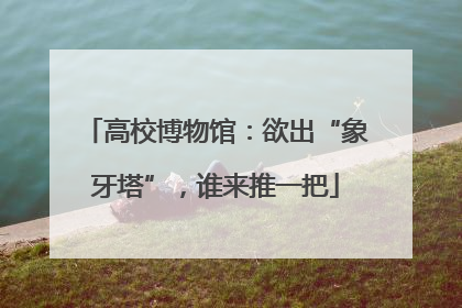 高校博物馆：欲出“象牙塔”，谁来推一把