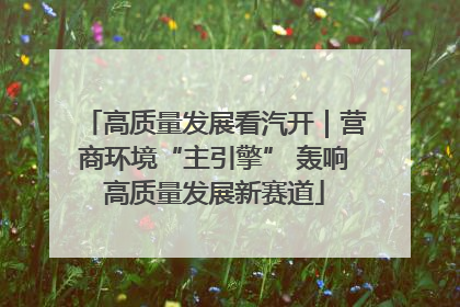 高质量发展看汽开｜营商环境“主引擎” 轰响高质量发展新赛道