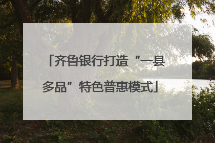 齐鲁银行打造“一县多品”特色普惠模式