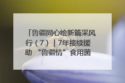 鲁疆同心绘新篇采风行（7）｜7年接续援助 “鲁疆情”食用菌从1.0走向4.0