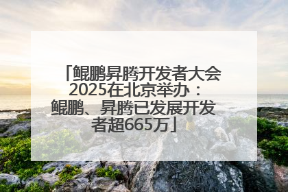 鲲鹏昇腾开发者大会2025在北京举办：鲲鹏、昇腾已发展开发者超665万