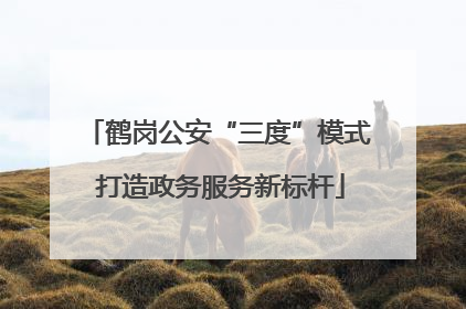 鹤岗公安“三度”模式 打造政务服务新标杆
