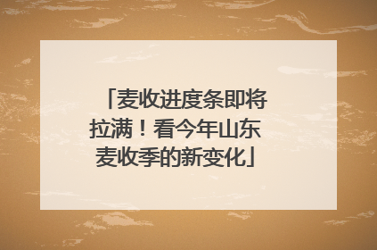 麦收进度条即将拉满！看今年山东麦收季的新变化