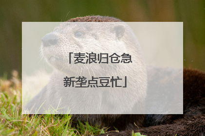 麦浪归仓急 新垄点豆忙