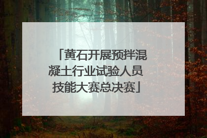 黄石开展预拌混凝土行业试验人员技能大赛总决赛