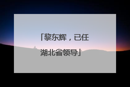 黎东辉，已任湖北省领导