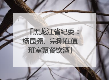 黑龙江省纪委：杨昆尧、宗刚在值班室聚餐饮酒