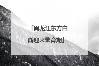 黑龙江东方白鹳迎来繁育期