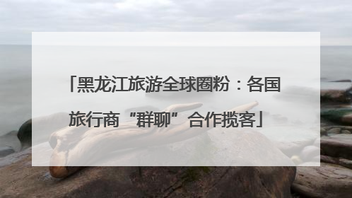 黑龙江旅游全球圈粉：各国旅行商“群聊”合作揽客