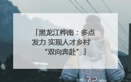黑龙江桦南：多点发力 实现人才乡村“双向奔赴”