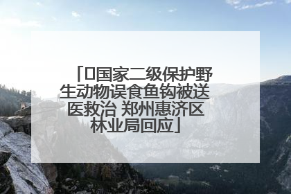﻿国家二级保护野生动物误食鱼钩被送医救治 郑州惠济区林业局回应