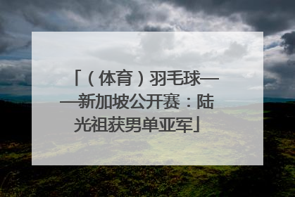 （体育）羽毛球——新加坡公开赛：陆光祖获男单亚军