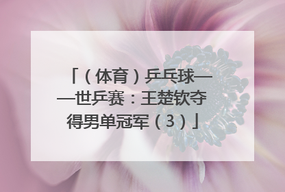 （体育）乒乓球——世乒赛：王楚钦夺得男单冠军（3）