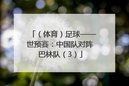 （体育）足球——世预赛：中国队对阵巴林队（3）