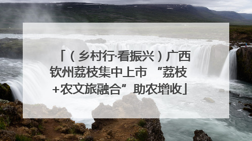 （乡村行·看振兴）广西钦州荔枝集中上市 “荔枝+农文旅融合”助农增收