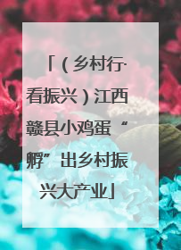 （乡村行·看振兴）江西赣县小鸡蛋“孵”出乡村振兴大产业